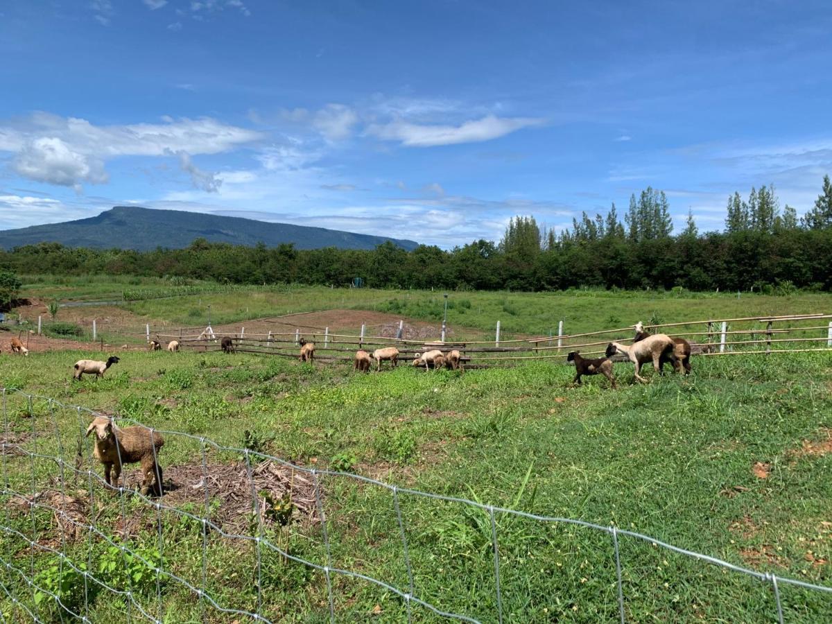 ฟาร์มแกะภูกระดึง Waraporn Valley Ban Nong Tum Εξωτερικό φωτογραφία