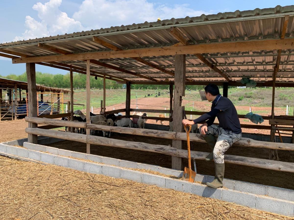 ฟาร์มแกะภูกระดึง Waraporn Valley Ban Nong Tum Εξωτερικό φωτογραφία